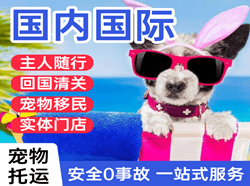 南充高坪空运代理国际宠物托运 【国